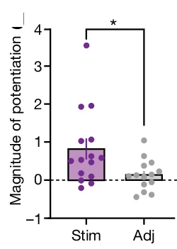 Open access visualization of Box Plot, Scatter Plot, Potentiation Magnitude, Uncaging-evoked EPSP, Normalized EPSP