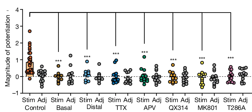 Open access visualization of Scatter Plot, Time Course, Potentiation Magnitude, Uncaging-evoked EPSP, Normalized EPSP