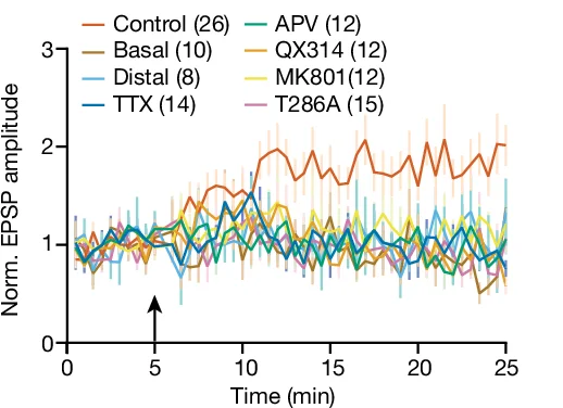 Open access visualization of Line Plot, Error Bars, Time Course, Potentiation Magnitude, Uncaging-evoked EPSP