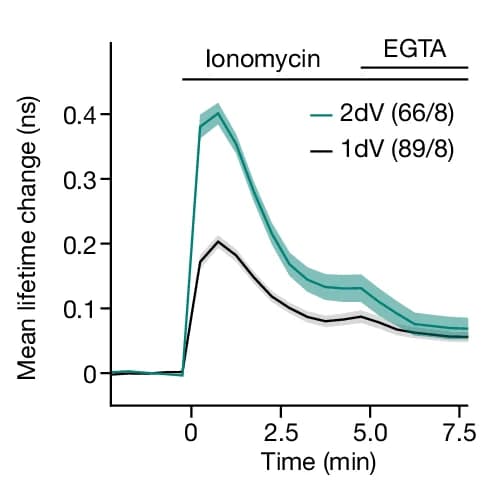 Open access visualization of Line Plot, Error Bars, Mean Time Course, Fluorescent Lifetime Changes, 2dV-Camui
