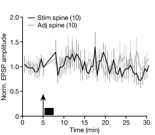 Open access visualization of Line Plot, Error Bars, Time Course, Stimulated Spines, Adjacent Spines