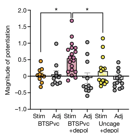Open access visualization of Scatter Plot, Error Bars, Potentiation, Stimulated Spines, Adjacent Spines