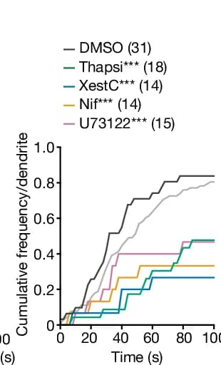 Open access visualization of Line Step, Cumulative Histogram, DDSC, Kolmogorov-Smirnov Test, DMSO