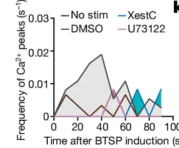 Open access visualization of Line Plot, Calcium Release Events, Time Course, DMSO, XestC