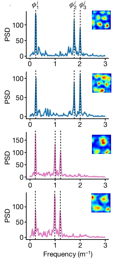 Open access visualization of Line Plot, Heatmap, Power Spectral Densities, Cells, Laps