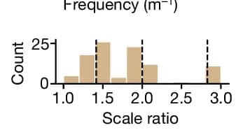 Open access visualization of Histogram, 2D Grid Scale, Modules, Animals, Sessions