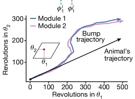 Open access visualization of Line Plot, Bump Trajectory, Modules, Cells