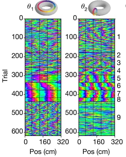 Open access visualization of Heatmap, Bump Trajectory, Torus, Cells