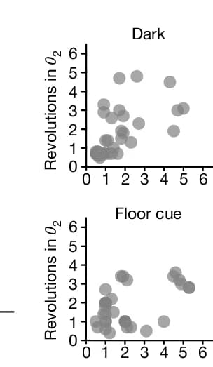 Open access visualization of Scatter Plot, Activity Bump, Animals, Sessions, Modules