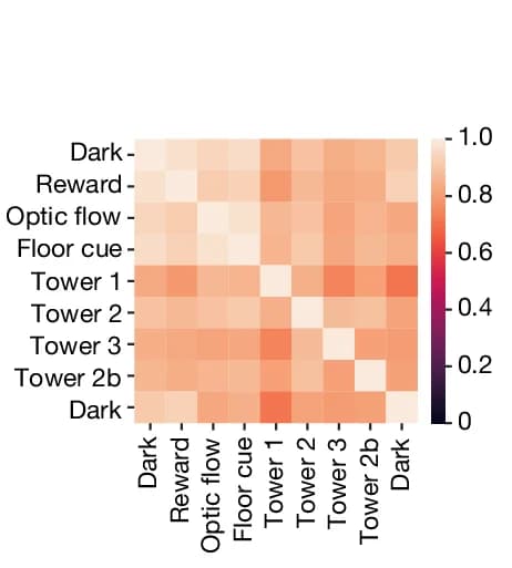 Open access visualization of Heatmap, Grid Correlation, Temporal Correlation, Spike Trains