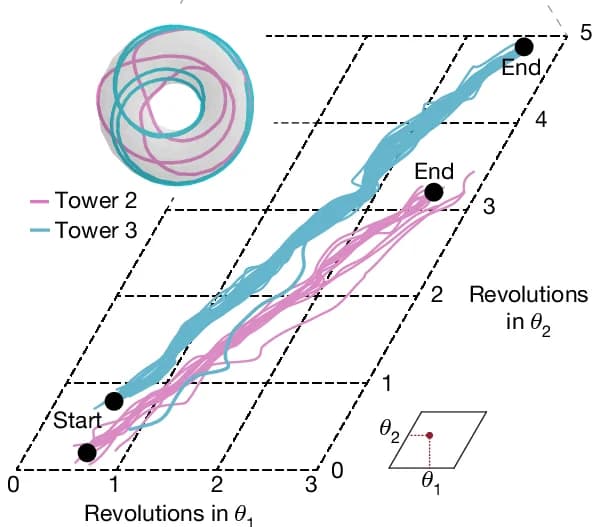 Open access visualization of Line Plot, Bump Trajectories, Torus