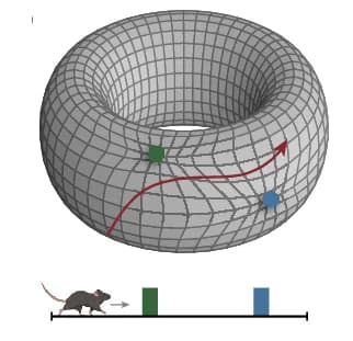 Open access visualization of 3D Plot, Anisotropy, Curvature, Bump Trajectories, Landmarks