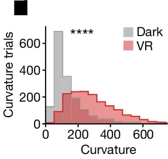 Open access visualization of Histogram, Bump Trajectories, Curvature, Landmarks, Darkness