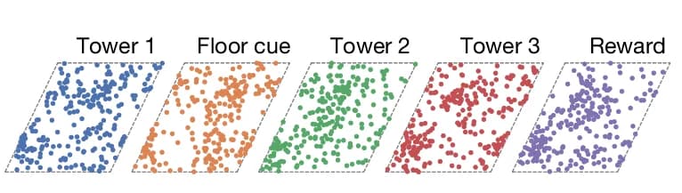 Open access visualization of Scatter Plot, Bump, Neural Sheet, Landmark, Grid Cell Module