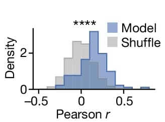 Open access visualization of Histogram, Model Predictivity, Pearson r, Tuning Curves, Cells