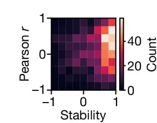 Open access visualization of Heatmap, Model Predictivity, Pearson r, Tuning Curves, Grid Cell Stability