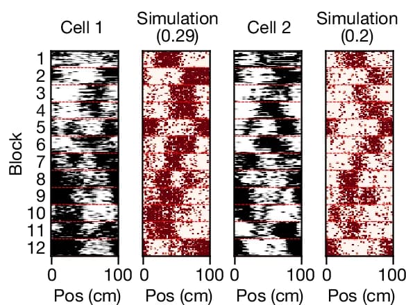 Open access visualization of Heatmap, Raster Plots, Neurons, Recordings, Pearson r