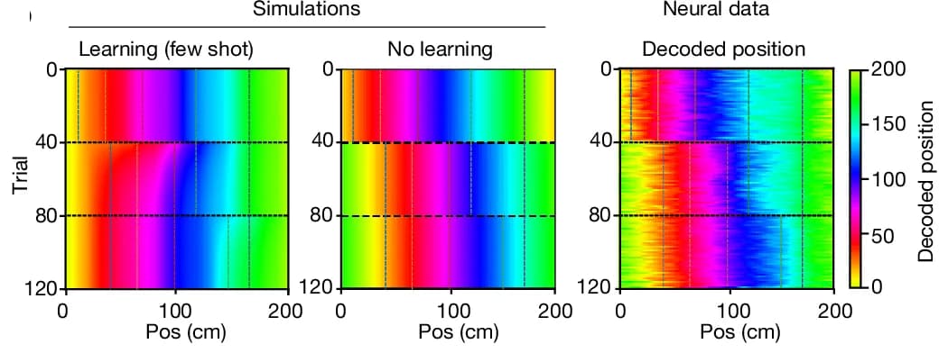 Open access visualization of Heatmap, Decoded Position, Simulated Grid Cells, Few-Shot Learning, Linear Decoder