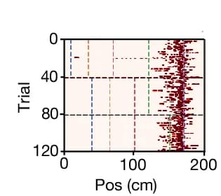Open access visualization of Heatmap, Lick, Running Speed, Rasters