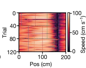 Open access visualization of Heatmap, Lick, Running Speed, Rasters