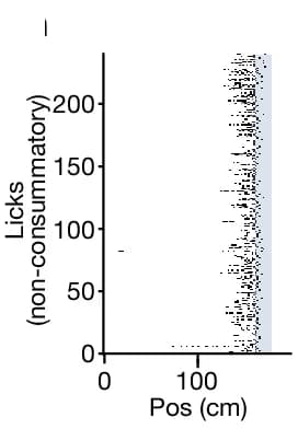 Open access visualization of Scatter Plot, Speed raster, Reward Zone, licking centre of mass