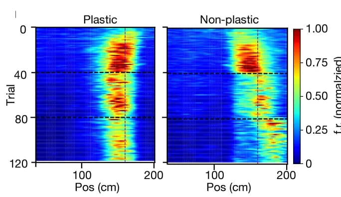 Open access visualization of Heatmap, Simulated CA1 Place Cell, BTSP, Place Cell, Plasticity