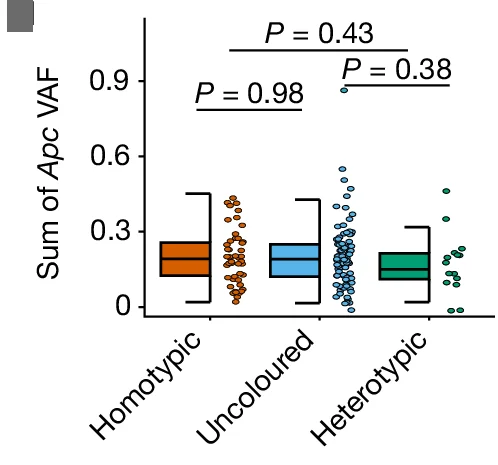 Open access visualization of Box Plot, Scatter Plot, VAFs, Inactivating Apc Mutations, Tumour