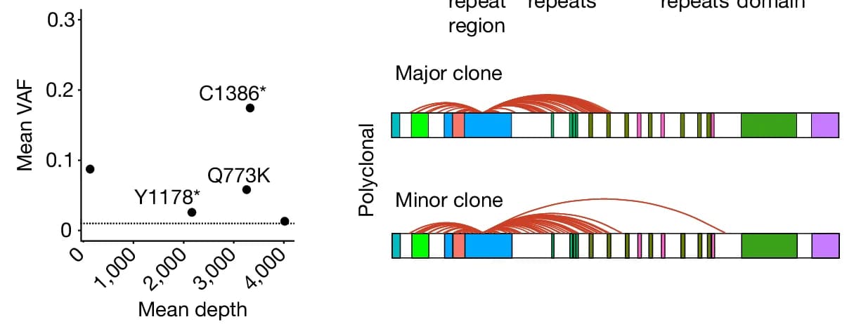 Open access visualization of Scatter Plot, Sankey, Clonality Plots, VAF, Sequencing Depth