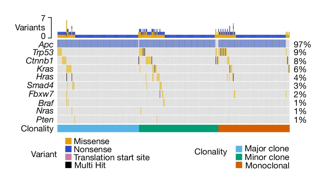 Open access visualization of Stacked Bar Plot, Oncoprint, Mutational Patterns, Mutations