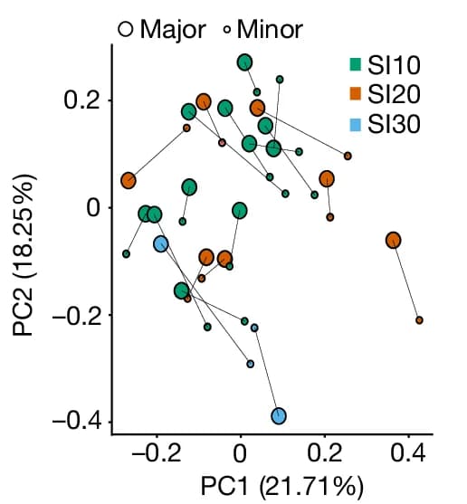 Open access visualization of Scatter Plot, Bubble Plot, Line Plot, Principal Component Analysis, Major Clones