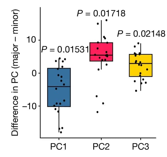 Open access visualization of Box Plot, Scatter Plot, Major Clones, Minor Clones, Principal Component Analysis
