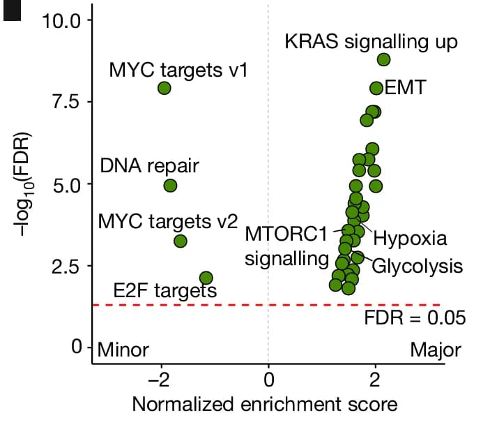 Open access visualization of Volcano Plot, Scatter Plot, Gene Set Enrichment Analysis, Hallmark Pathways, Major Clones