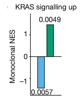 Open access visualization of Bar Plot, NES, Hallmark Pathways, Monoclonal Tumors, Major Clones