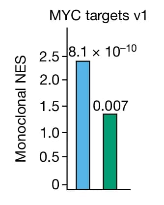 Open access visualization of Bar Plot, NES, Hallmark Pathways, Monoclonal Tumors, Major Clones
