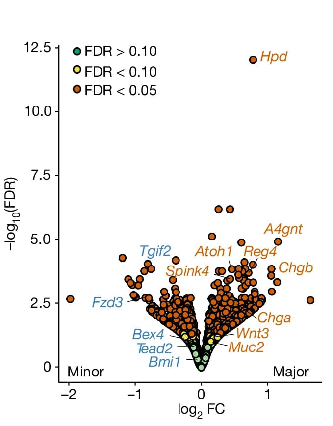 Open access visualization of Volcano Plot, Scatter Plot, Differentially Expressed Genes, Major Clones, Minor Clones