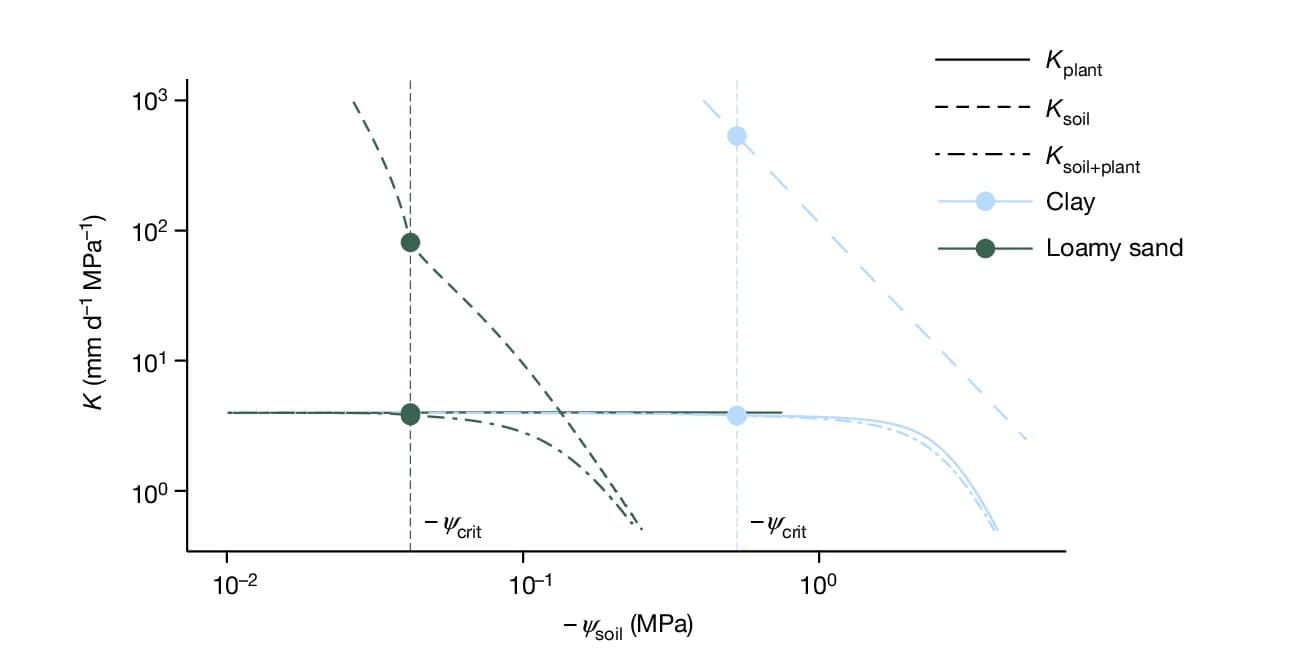 Open access visualization of Line Plot, Scatter Plot, Soil Texture, Soil Hydraulic Conductance, Plant Hydraulic Conductance