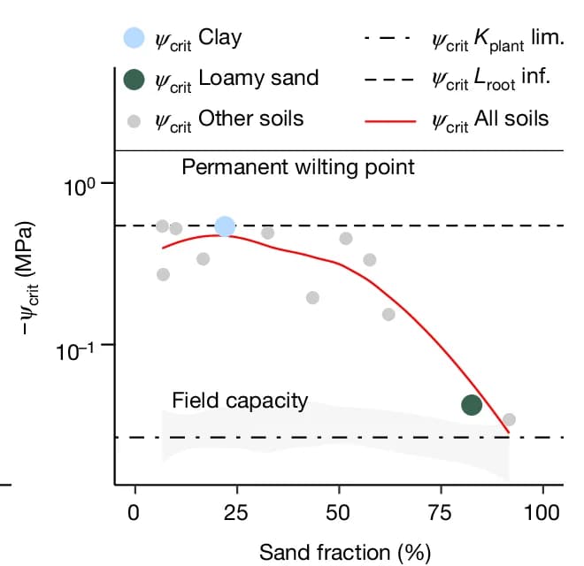 Open access visualization of Scatter Plot, Line Plot, Soil Water Potential, Soil Hydraulic Conductivity, Soil Texture
