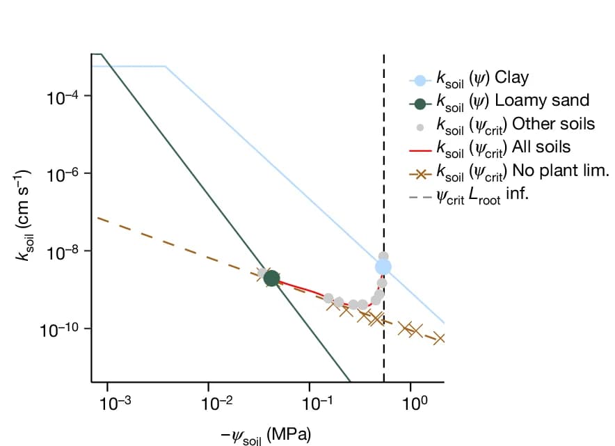 Open access visualization of Line Plot, Soil Texture, Soil Hydraulic Conductivity, Soil Water Potential, Plant Hydraulic Limitations