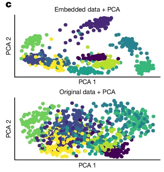Open access visualization of Scatter Plot, PCA, Embedded Data, Original Data, Clusters