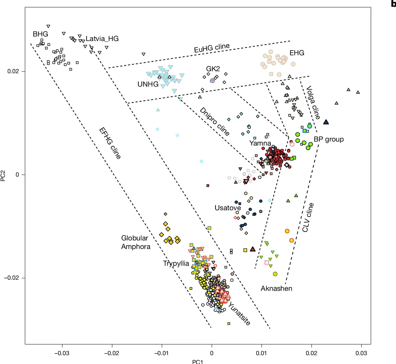 Open access visualization of Scatter Plot, PCA, NPR Samples, Steppe Clines, Volga
