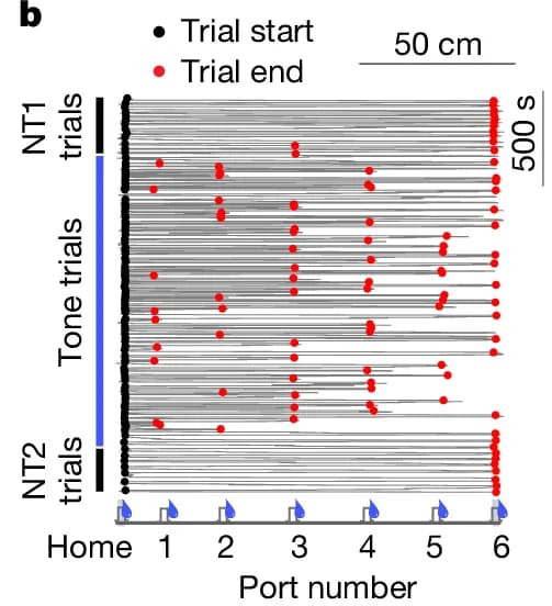 Open access visualization of Scatter Plot, Line Plot, Trials, Trial start, Trial end
