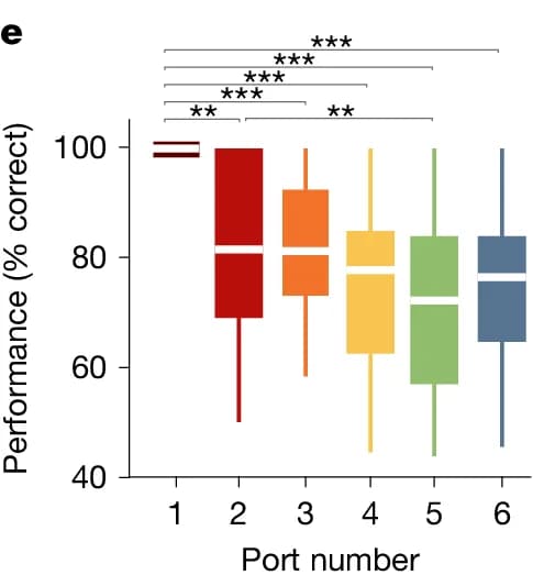 Open access visualization of Box Plot, Performance, Port number, Significant difference, Correct Trials