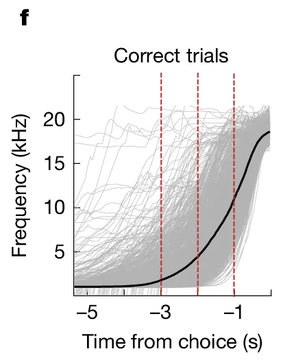 Open access visualization of Line Plot, Frequency, Time from choice, Correct trials, Individual trajectories
