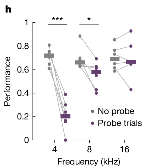 Open access visualization of Scatter Plot, Line Plot, Performance, Frequency, No probe