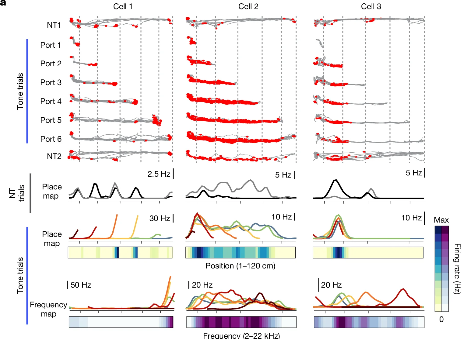 Open access visualization of Scatter Plot, Line Plot, Heatmap, Cell 1, Cell 2