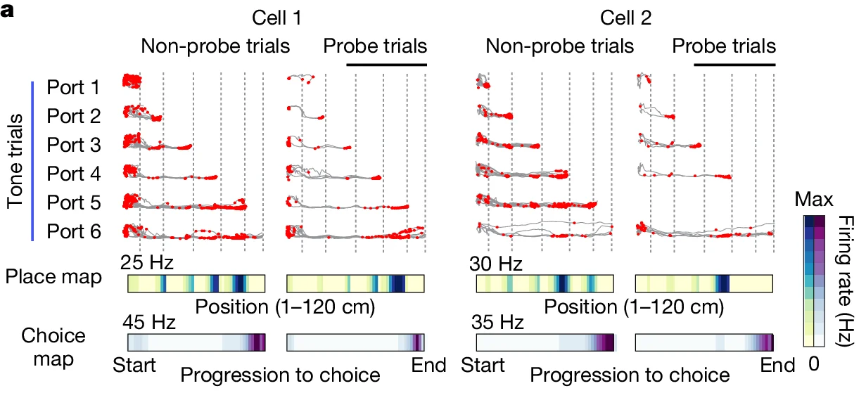 Open access visualization of Trajectory Plot, Heatmap, Cell 1, Cell 2, Non-probe trials