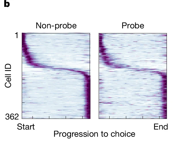Open access visualization of Heatmap, Cell ID, Progression to choice, Non-probe, Probe