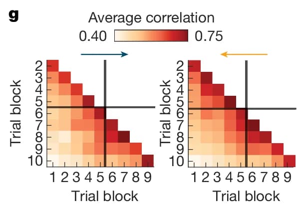 Open access visualization of Heatmap, Average Correlation, Trial Block, Cell-by-Cell Correlation, Rate Maps