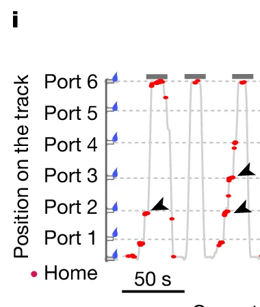 Open access visualization of Line Plot, Scatter Plot, Position on the track, Port 1, Port 2