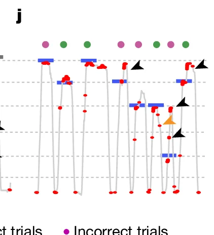 Open access visualization of Line Plot, Time Series, Correct trials, Incorrect trials, Data Points